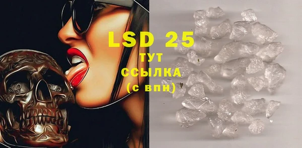 индика Белокуриха