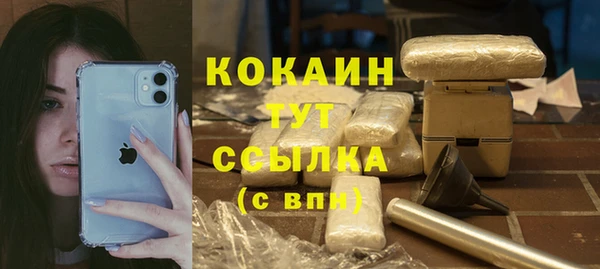 индика Белокуриха