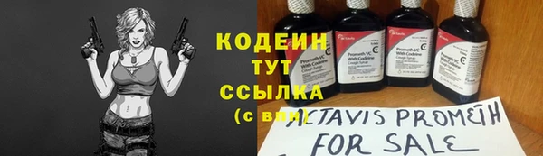 индика Белокуриха