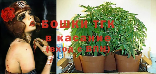 индика Белокуриха