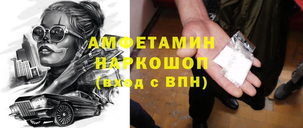 индика Белокуриха